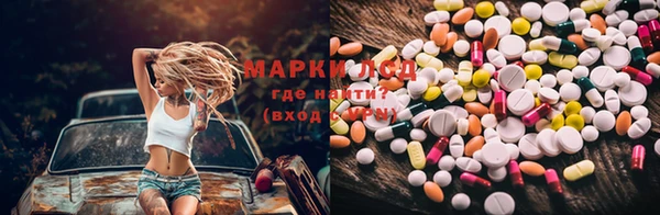 бошки Белокуриха