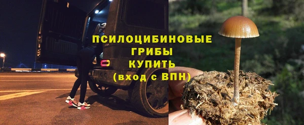 бошки Белокуриха