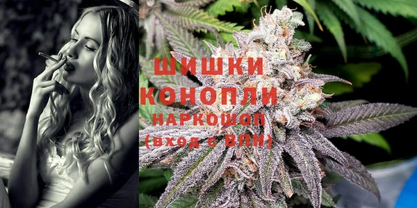 бошки Белокуриха